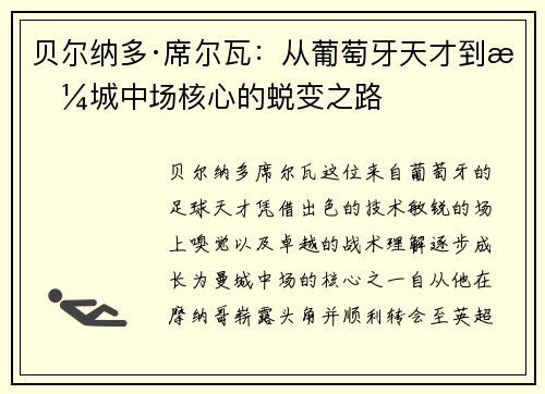 贝尔纳多·席尔瓦：从葡萄牙天才到曼城中场核心的蜕变之路