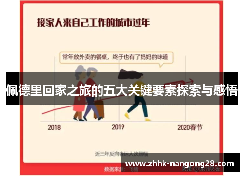 佩德里回家之旅的五大关键要素探索与感悟