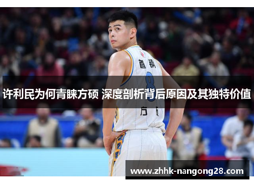 许利民为何青睐方硕 深度剖析背后原因及其独特价值