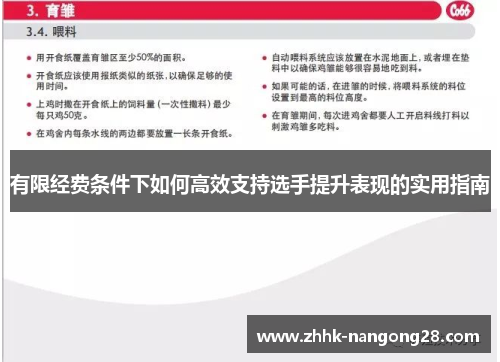 有限经费条件下如何高效支持选手提升表现的实用指南