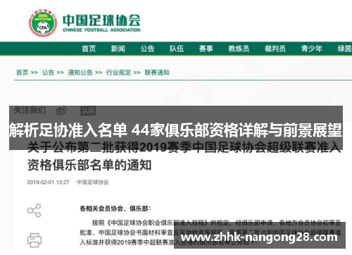解析足协准入名单 44家俱乐部资格详解与前景展望