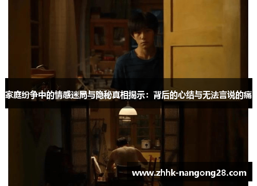 家庭纷争中的情感迷局与隐秘真相揭示：背后的心结与无法言说的痛