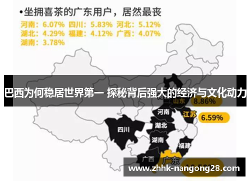 巴西为何稳居世界第一 探秘背后强大的经济与文化动力