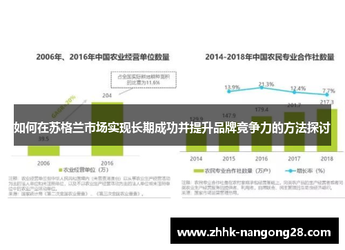 如何在苏格兰市场实现长期成功并提升品牌竞争力的方法探讨