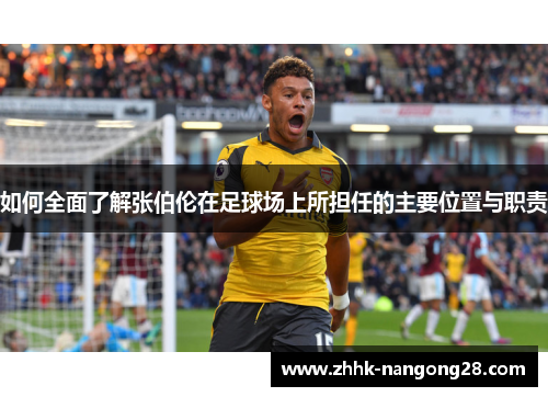 如何全面了解张伯伦在足球场上所担任的主要位置与职责