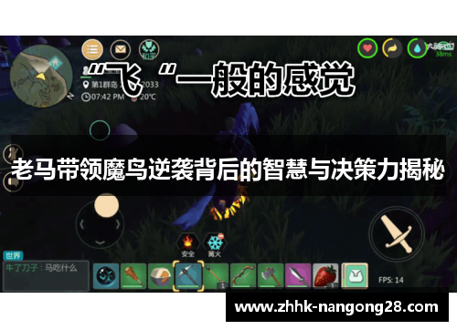 老马带领魔鸟逆袭背后的智慧与决策力揭秘