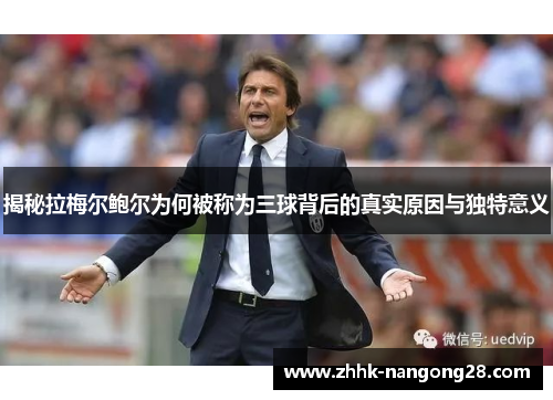 揭秘拉梅尔鲍尔为何被称为三球背后的真实原因与独特意义