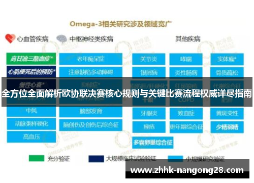 全方位全面解析欧协联决赛核心规则与关键比赛流程权威详尽指南