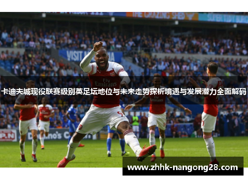 卡迪夫城现役联赛级别英足坛地位与未来走势探析境遇与发展潜力全面解码